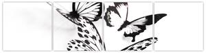Obraz motýľov (Obraz 160x40cm)