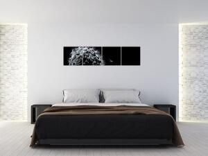 Obrazy na stenu (Obraz 160x40cm)
