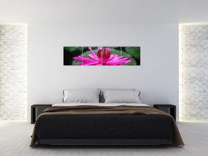 Obraz kvetu (Obraz 160x40cm)