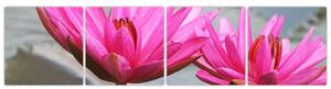 Obraz dvoch kvetov (Obraz 160x40cm)