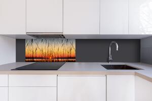 DIMEX | Dibond doska za kuchynskú linku | DBW-08040-129 Rákos| 80 x 40 cm