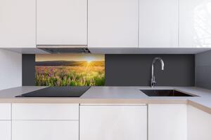 DIMEX | Dibond doska za kuchynskú linku | DBW-08040-145 Západ slnka na lúku| 80 x 40 cm