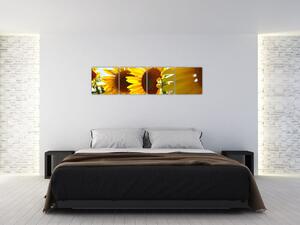 Obraz slnečníc na stenu (Obraz 160x40cm)