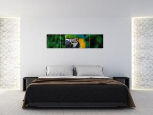 Obraz papagája (Obraz 160x40cm)