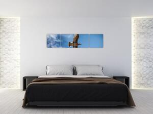 Obraz letiaceho vtáka (Obraz 160x40cm)