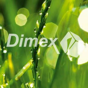 DIMEX | Obraz na skle | Tráva GL-30-015 | 30 x 30 cm