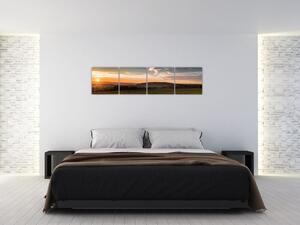 Obraz zapadajúceho slnka na poli (Obraz 160x40cm)