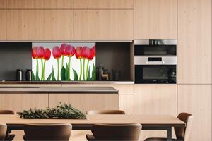 DIMEX | Dibond doska za kuchynskú linku | DBW-10060-058 Tulipány | 100 x 60 cm