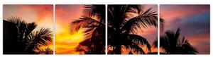 Obraz palmy na stenu (Obraz 160x40cm)
