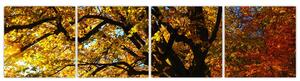 Obraz jesennej krajiny (Obraz 160x40cm)