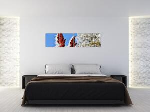 Obraz na stenu (Obraz 160x40cm)