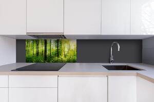 DIMEX | Dibond doska za kuchynskú linku | DBW-08040-133 Svieži les| 80 x 40 cm