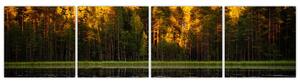 Obraz - jesenná krajina (Obraz 160x40cm)
