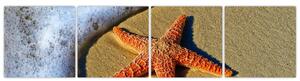 Obraz s morskou hviezdou (Obraz 160x40cm)