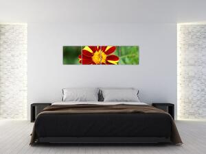 Obraz kvety na stenu (Obraz 160x40cm)