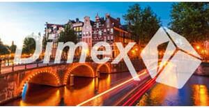 DIMEX | Obraz na skle | Amsterdam GL-60-011 | 60 x 30 cm