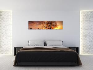 Západ slnka, obrazy (Obraz 160x40cm)