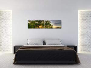 Obraz západu slnka v krajine (Obraz 160x40cm)