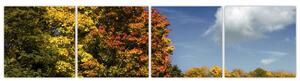 Jesenná krajina, obraz (Obraz 160x40cm)
