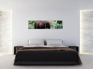 Obraz s americkým bizónom (Obraz 160x40cm)