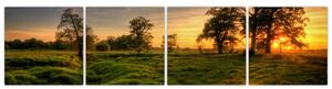 Západ slnka v krajine, obrazy (Obraz 160x40cm)
