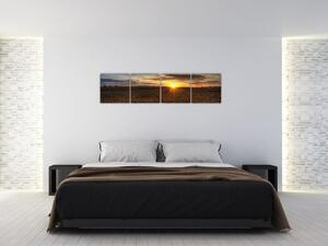 Západ slnka na poli - obraz na stenu (Obraz 160x40cm)