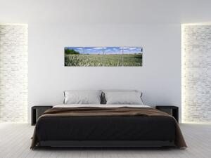 Pole pšenice - obraz (Obraz 160x40cm)