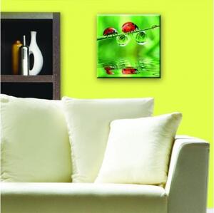 DIMEX | Obraz na skle | Lienka GL-30-024 | 30 x 30 cm
