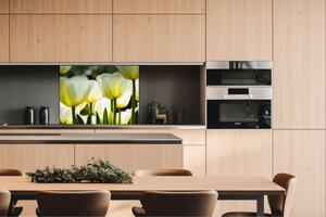 DIMEX | Dibond doska za kuchynskú linku | DBW-08060-009 Biele tulipány | 80 x 60 cm