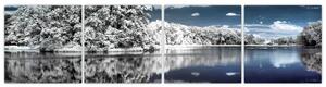 Zimná krajina - obraz (Obraz 160x40cm)