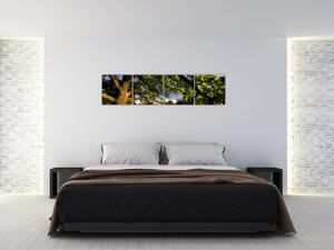 Obrázok stromu - moderné obrazy (Obraz 160x40cm)