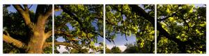 Obrázok stromu - moderné obrazy (Obraz 160x40cm)