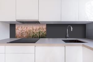DIMEX | Dibond doska za kuchynskú linku | DBW-08040-136 Pšeničné pole| 80 x 40 cm