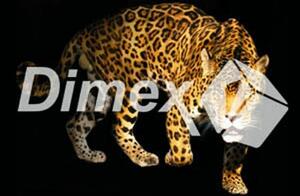 DIMEX | Obraz na skle | Panter GL-45-013 | 45 x 30 cm