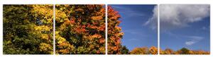 Jesenné stromy - moderný obraz (Obraz 160x40cm)