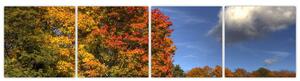 Jesenné stromy - obraz (Obraz 160x40cm)