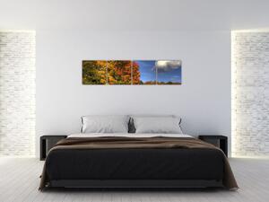 Jesenné stromy - obraz (Obraz 160x40cm)
