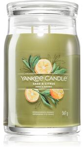 Yankee Candle Sage & Citrus vonná sviečka Signature 567 g