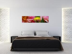 Obraz kvetu rastliny (Obraz 160x40cm)