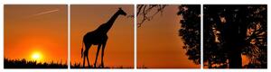 Obraz žirafy v prírode (Obraz 160x40cm)