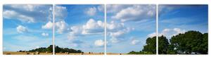Letné pole - obraz (Obraz 160x40cm)