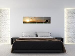 Západ slnka - obraz (Obraz 160x40cm)