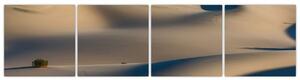 Púšť - obraz (Obraz 160x40cm)