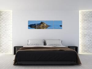 Ostrov - obraz (Obraz 160x40cm)
