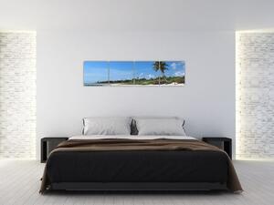 Exotická pláž - obraz (Obraz 160x40cm)