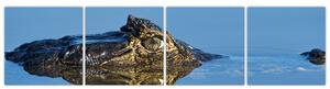Ostrov - obraz (Obraz 160x40cm)