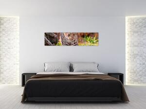 Mláďa leoparda - obraz do bytu (Obraz 160x40cm)