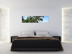 Palma - obraz (Obraz 160x40cm)