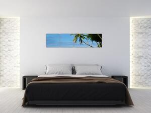 Fotka pláže - obraz (Obraz 160x40cm)
