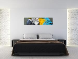 Papagáj - obraz (Obraz 160x40cm)